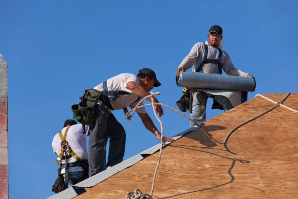 Best Roof Maintenance Services  in Galena, KS